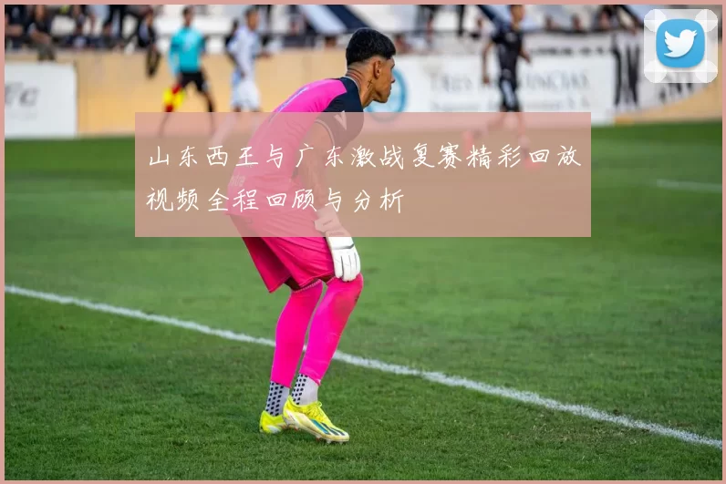 山东西王与广东激战复赛精彩回放视频全程回顾与分析
