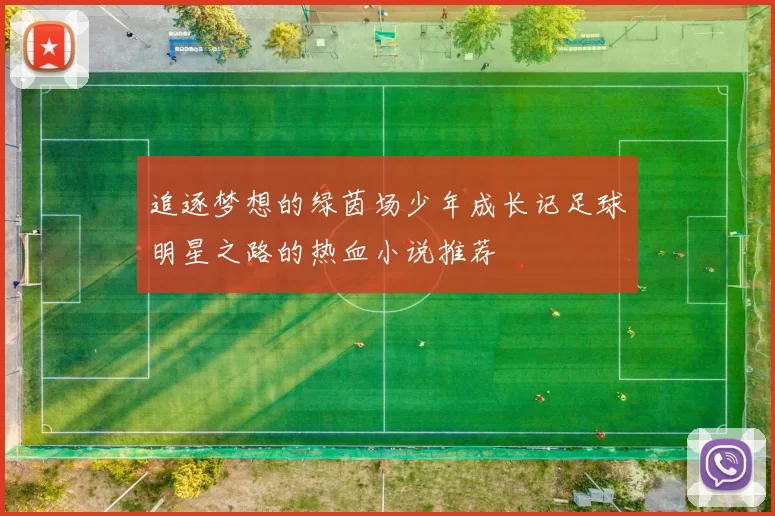 追逐梦想的绿茵场少年成长记足球明星之路的热血小说推荐