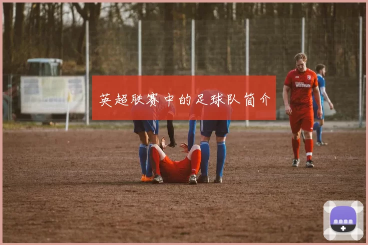 英超联赛中的足球队简介