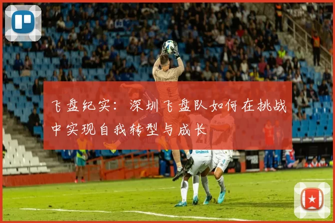 飞盘纪实：深圳飞盘队如何在挑战中实现自我转型与成长