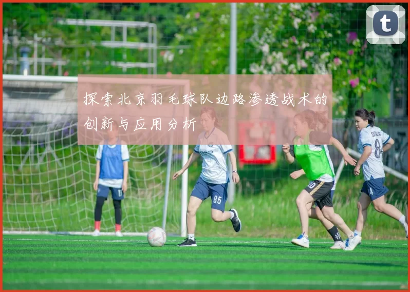 探索北京羽毛球队边路渗透战术的创新与应用分析