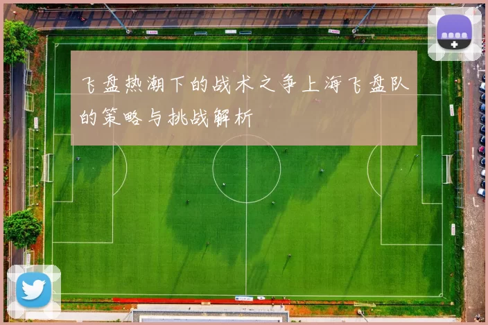 飞盘热潮下的战术之争上海飞盘队的策略与挑战解析