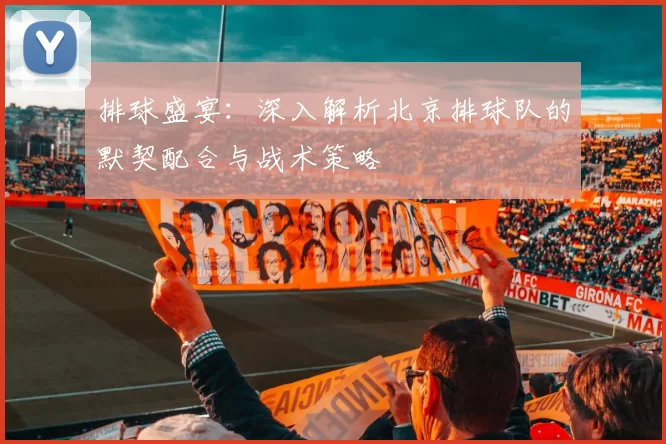 排球盛宴：深入解析北京排球队的默契配合与战术策略