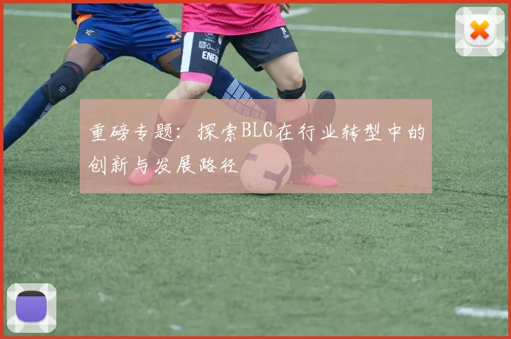 重磅专题：探索BLG在行业转型中的创新与发展路径