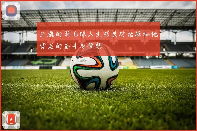 王磊的羽毛球人生深度对话探秘他背后的奋斗与梦想