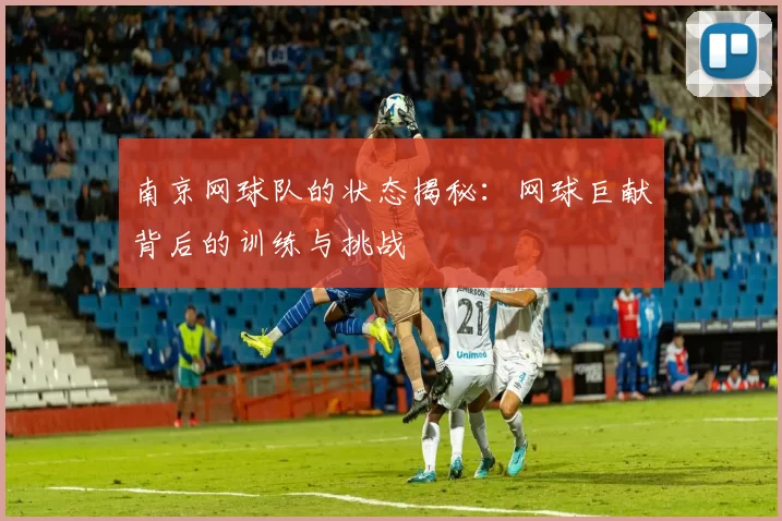 南京网球队的状态揭秘：网球巨献背后的训练与挑战