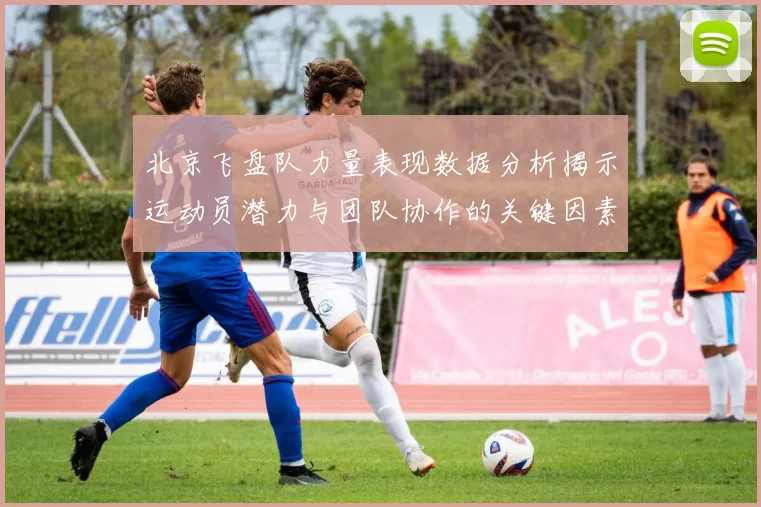 北京飞盘队力量表现数据分析揭示运动员潜力与团队协作的关键因素