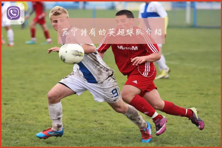 苏宁持有的英超球队介绍
