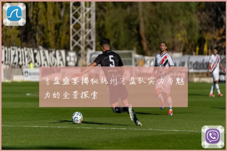 飞盘盛宴揭秘杭州飞盘队实力与魅力的全景探索