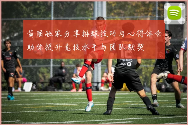 黄丽独家分享排球技巧与心得体会助你提升竞技水平与团队默契